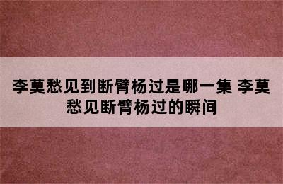 李莫愁见到断臂杨过是哪一集 李莫愁见断臂杨过的瞬间